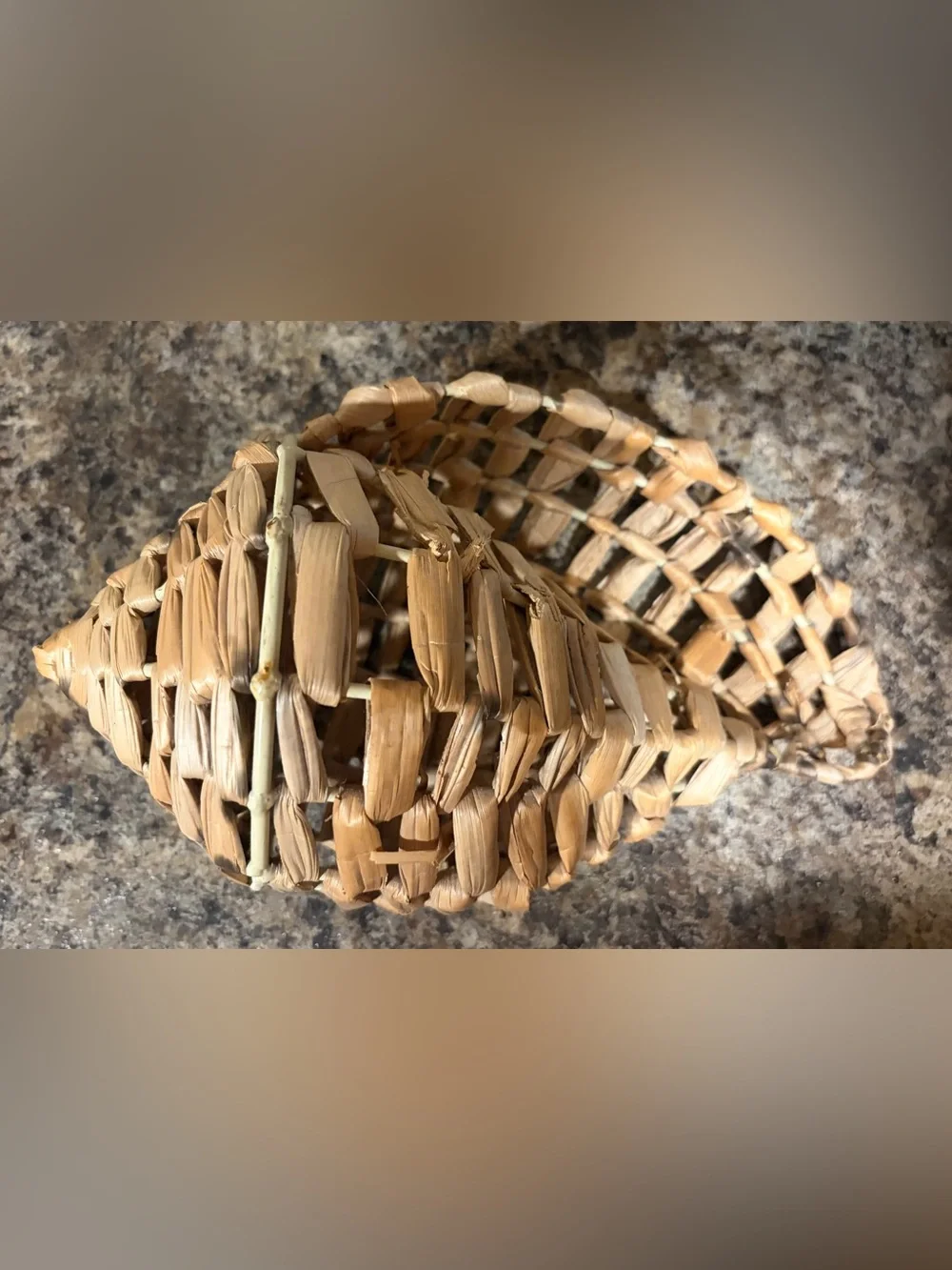 Vintage Conch Seashell Woven Basket on Wire Frame